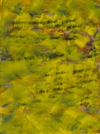 007-2018 213 DSD_3443-2-2